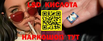 сатива Шебекино