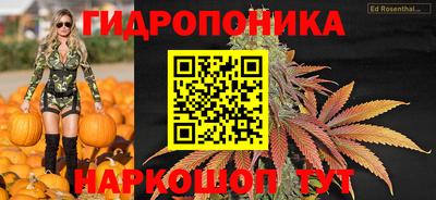 сатива Шебекино