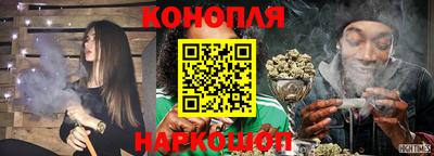 крисы Шахты