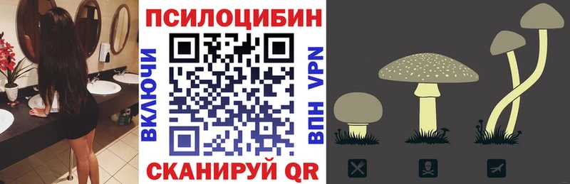 Псилоцибиновые грибы GOLDEN TEACHER  Брянск 